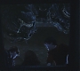 HP1-3419.jpg