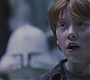 HP1-3592.jpg