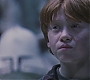 HP1-3593.jpg