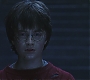 HP1-3810.jpg