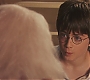 HP1-4014.jpg