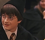 HP1-4112.jpg