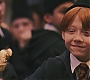 HP1-4113.jpg