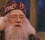 HP1-4121.jpg
