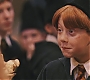 HP1-4122.jpg
