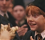 HP1-4137.jpg