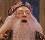 HP1-4163.jpg