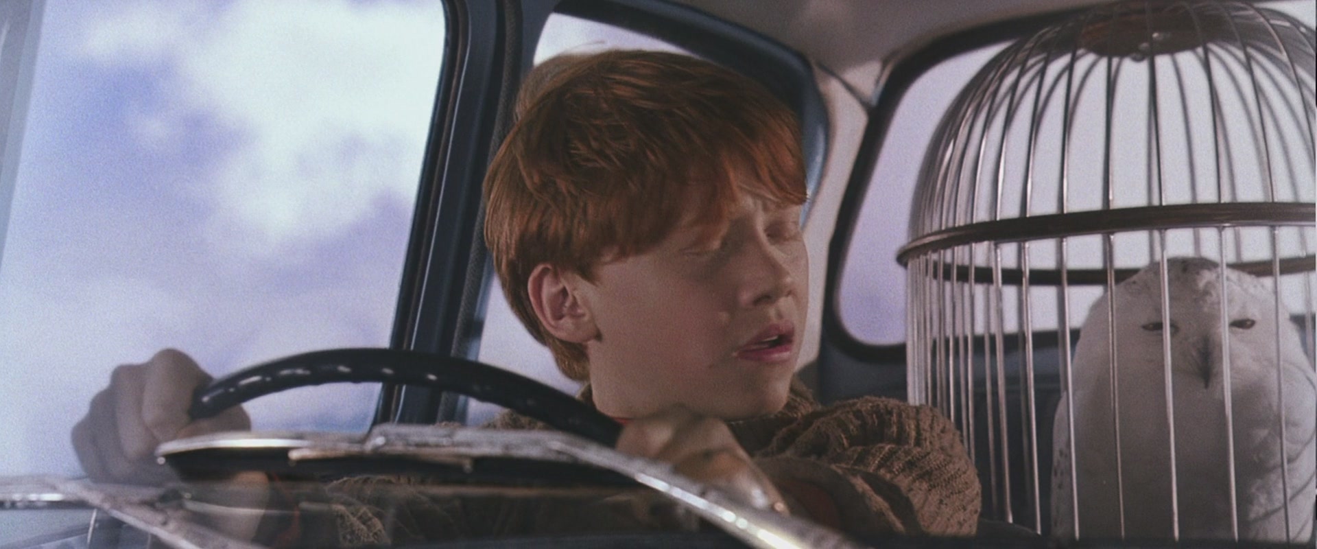 HP2-00717.jpg