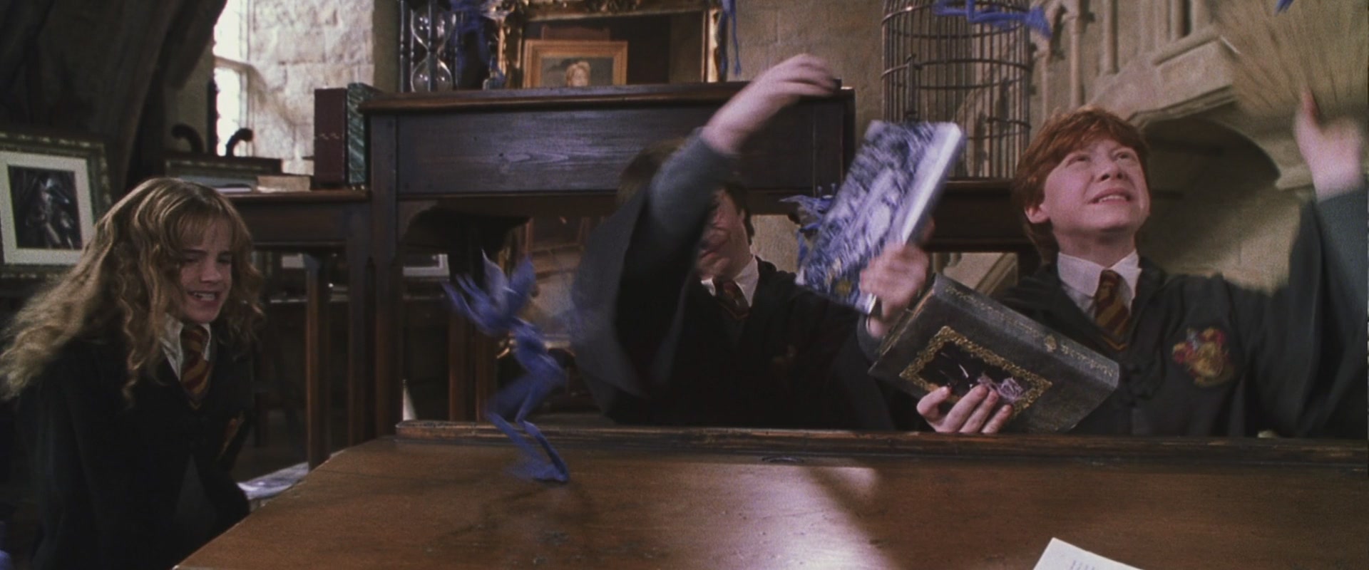 HP2-01113.jpg