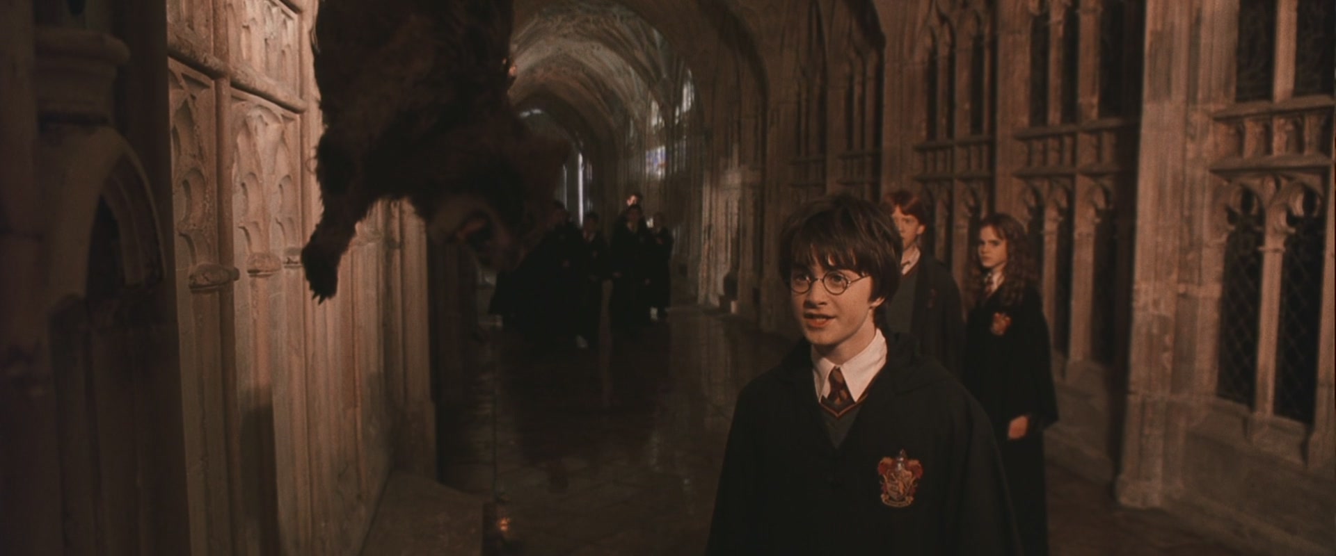 HP2-01315.jpg