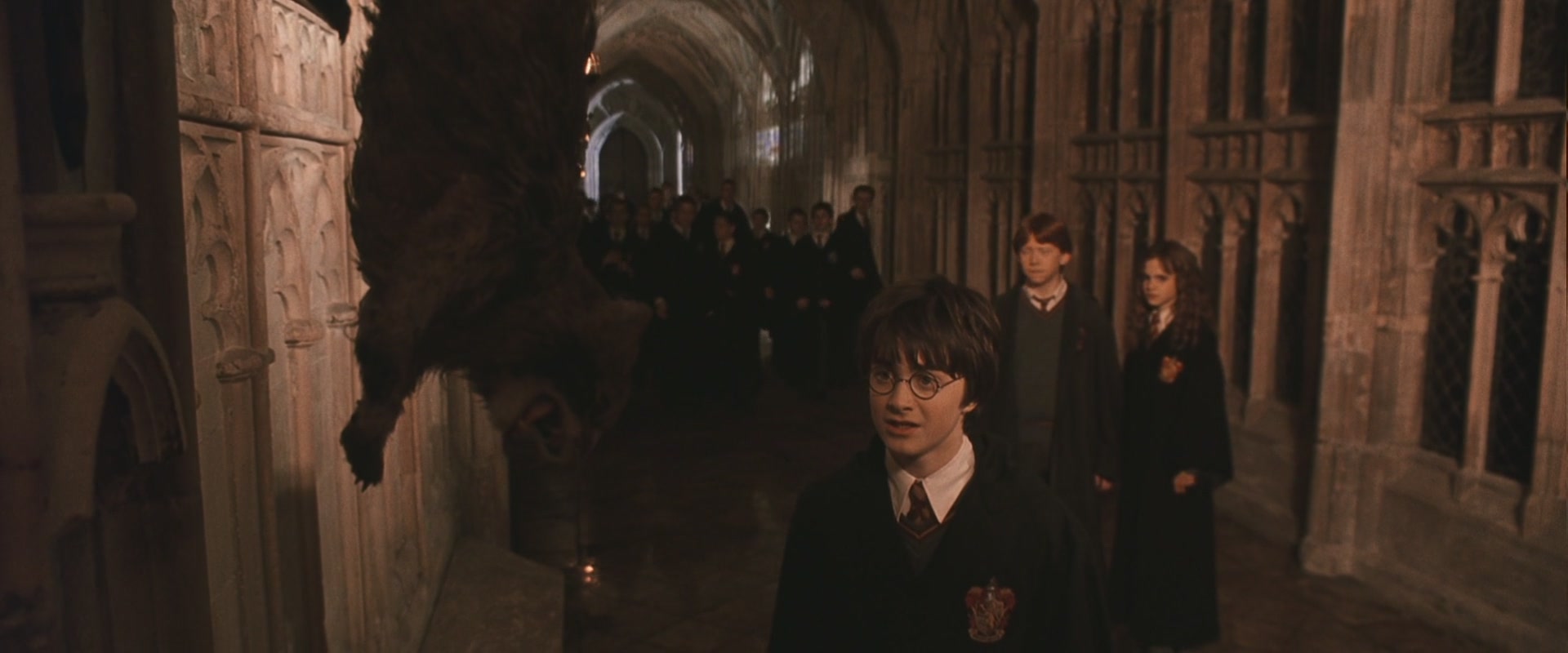 HP2-01316.jpg