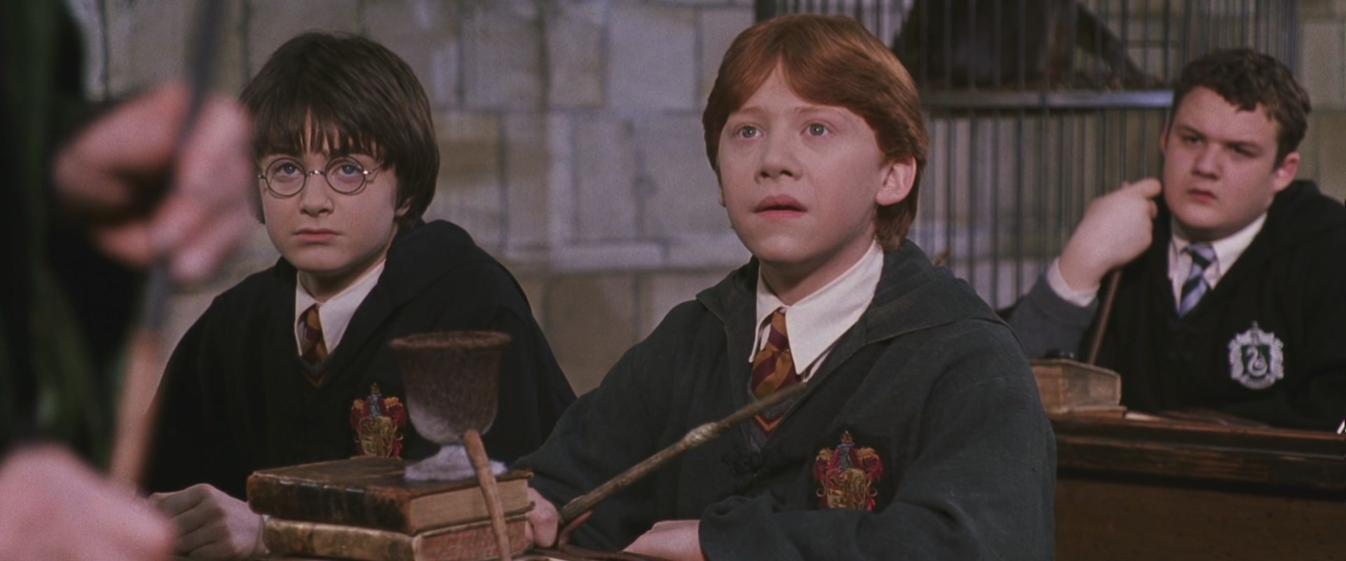 HP2-01456.jpg