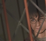 HP2-00238.jpg