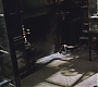 HP2-00447.jpg