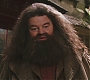 HP2-00516.jpg
