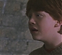 HP2-00692.jpg