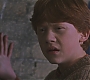HP2-00694.jpg