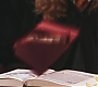 HP2-01021.jpg