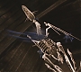 HP2-01102.jpg