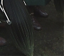 HP2-01146.jpg