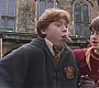 HP2-01173.jpg