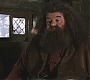 HP2-01183.jpg
