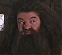 HP2-01205.jpg