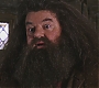HP2-01206.jpg