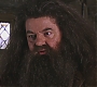 HP2-01207.jpg