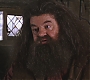 HP2-01212.jpg