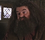 HP2-01214.jpg