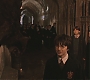 HP2-01316.jpg
