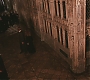 HP2-01318.jpg