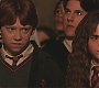 HP2-01327.jpg