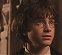 HP2-01335.jpg