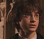 HP2-01338.jpg