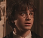 HP2-01340.jpg