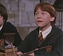 HP2-01455.jpg