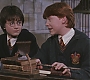 HP2-01470.jpg