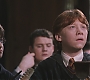 HP2-01492.jpg