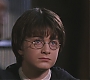 HP2-01511.jpg