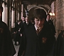 HP2-01522.jpg