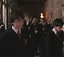 HP2-01540.jpg