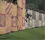 HP2-01685.jpg