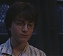 HP2-01813.jpg