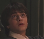HP2-01893.jpg