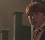 HP2-01900.jpg
