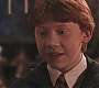 HP2-04354.jpg