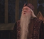 HP2-04369.jpg