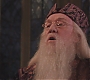 HP2-04381.jpg